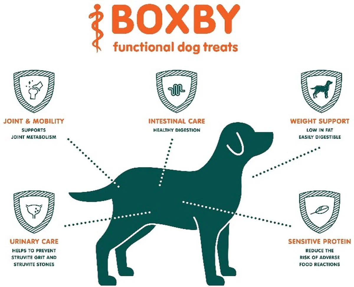 Boxby Intestinal Care – hipoalerginiai funkciniai skanėstai šunims, 100g