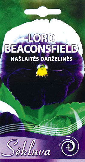 Darželinės našlaitės LORD BEACONSFIELD