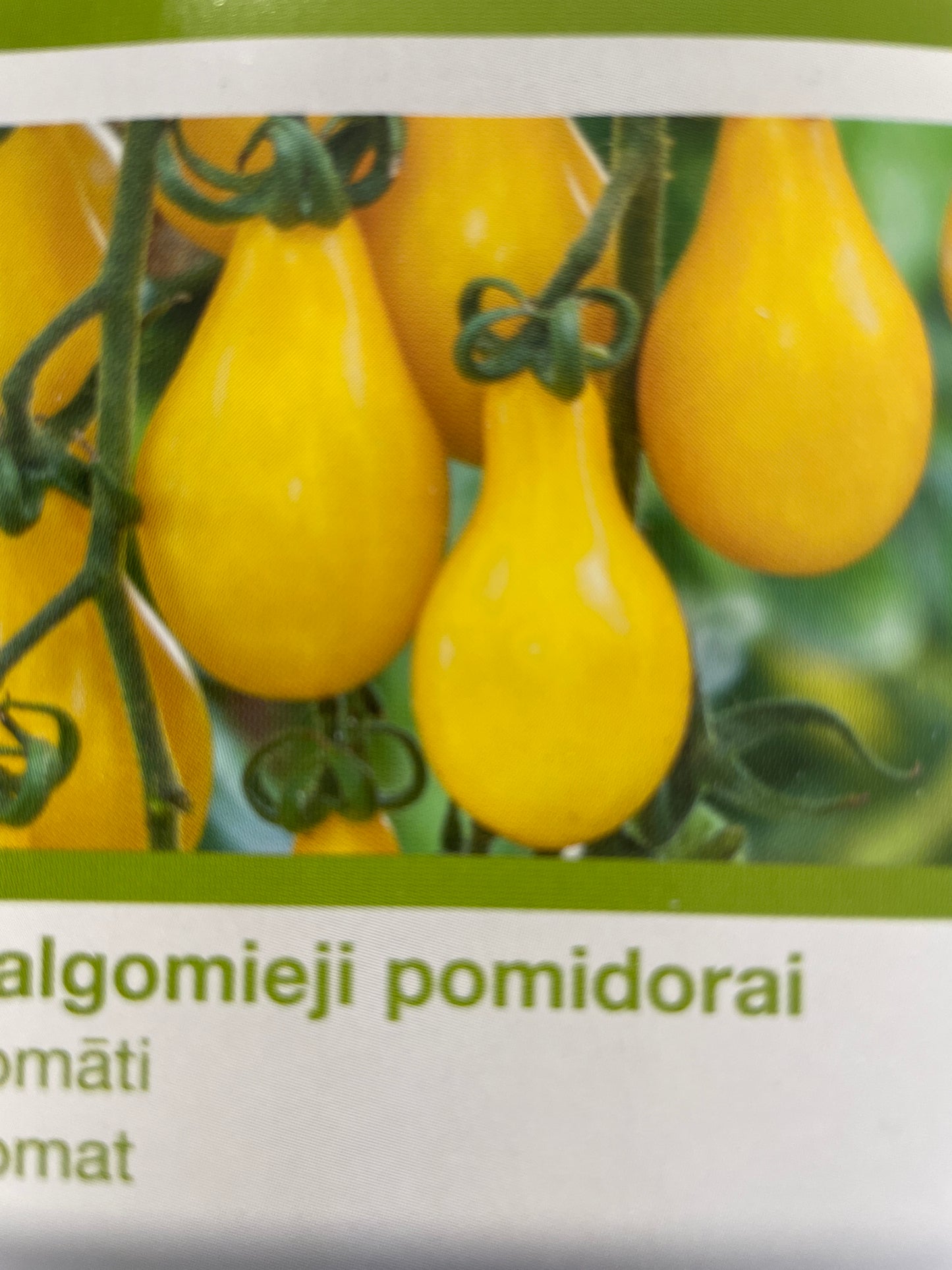Valgomieji pomidorai YELLOW SUBMARINE, 10 s