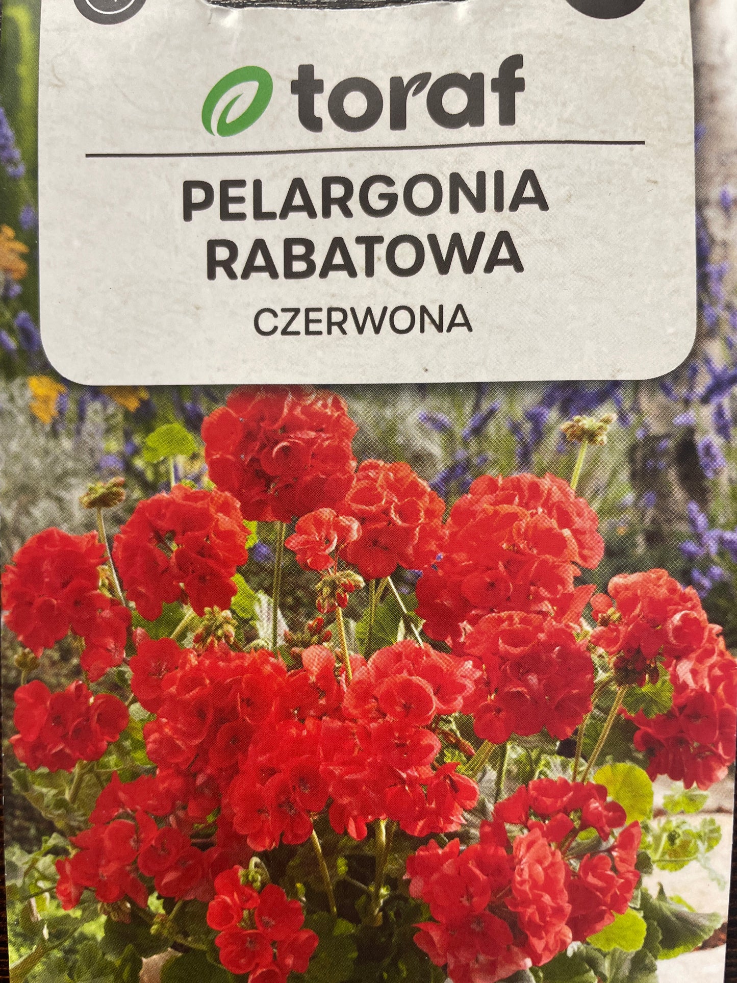 Pelargonijos krūminės (raudonos) 0,05 g