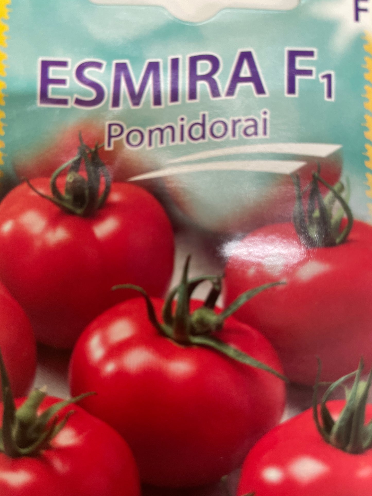 Valgomieji pomidorai ESMIRA H, 10s