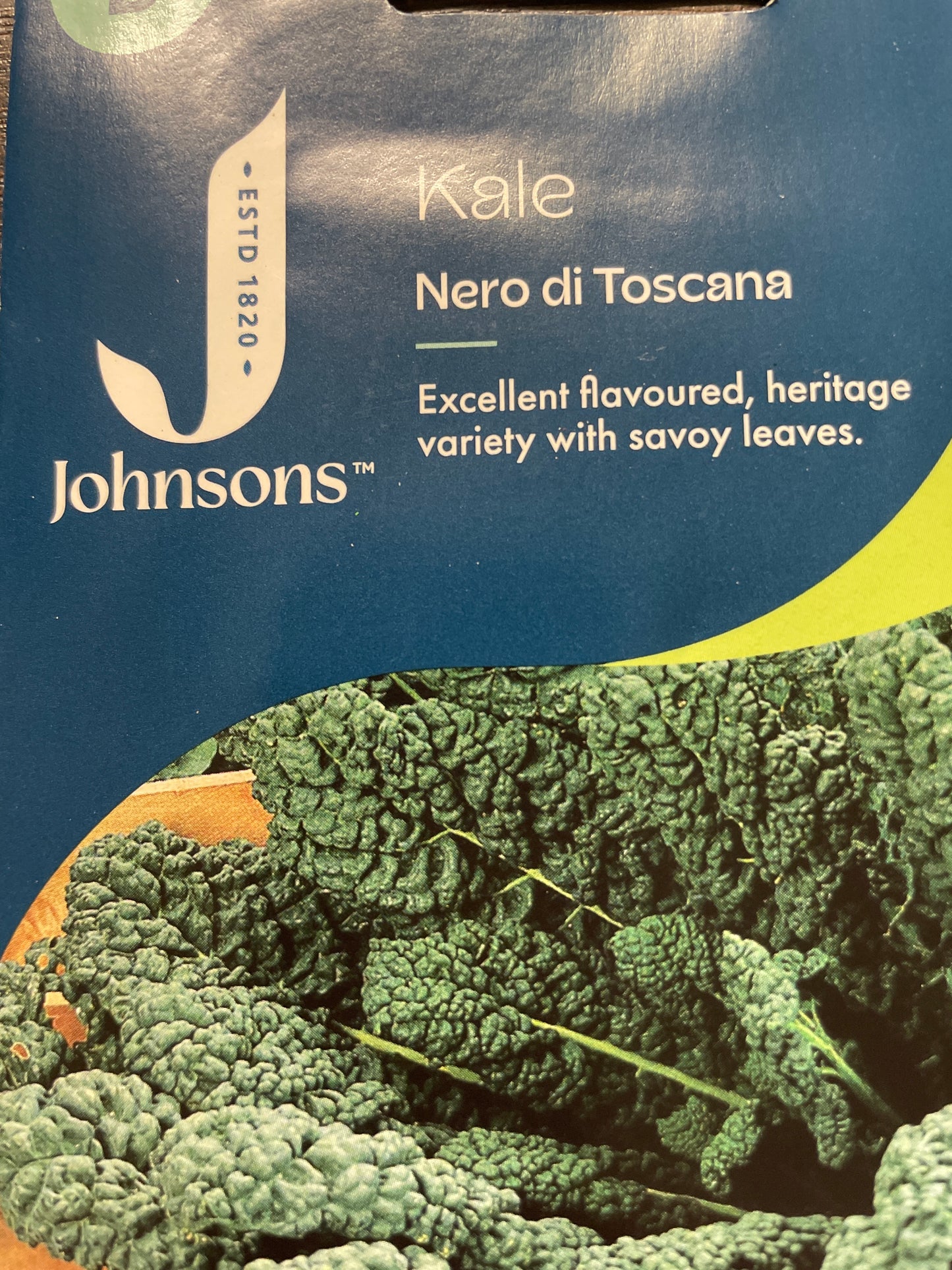Garbanotieji kopūstai KALE NERO DI TOSCANA 300 s