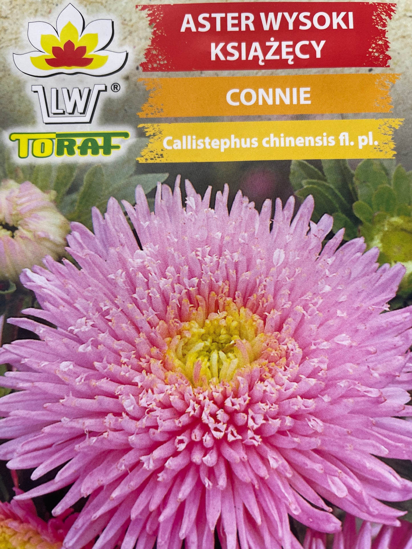Kininiai ratiliai (astrai) CONNIE, 1 g