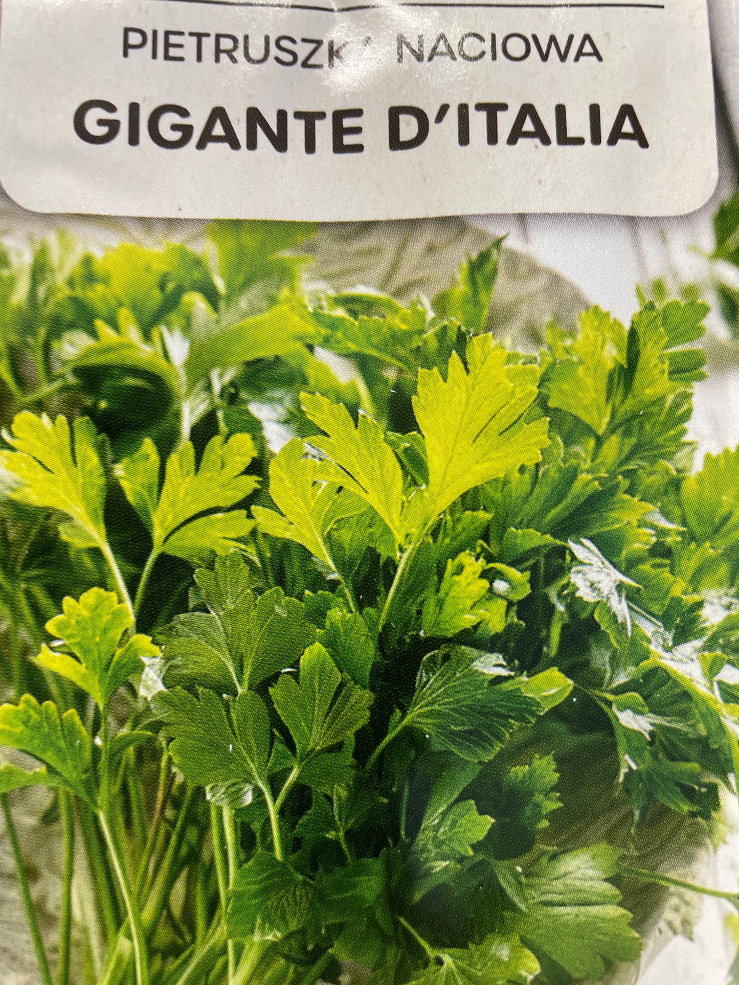 Sejamosios petražolės GIGANTE D’ITALIA, 2g