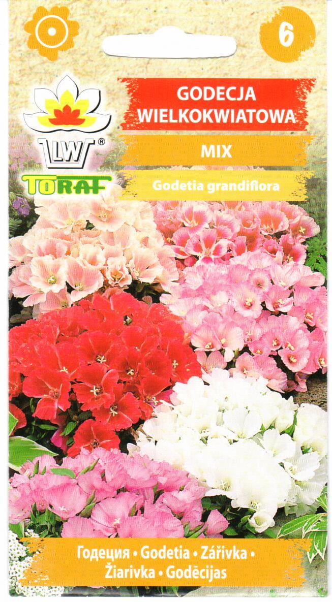 Stambiažiedės godecijos mišinys