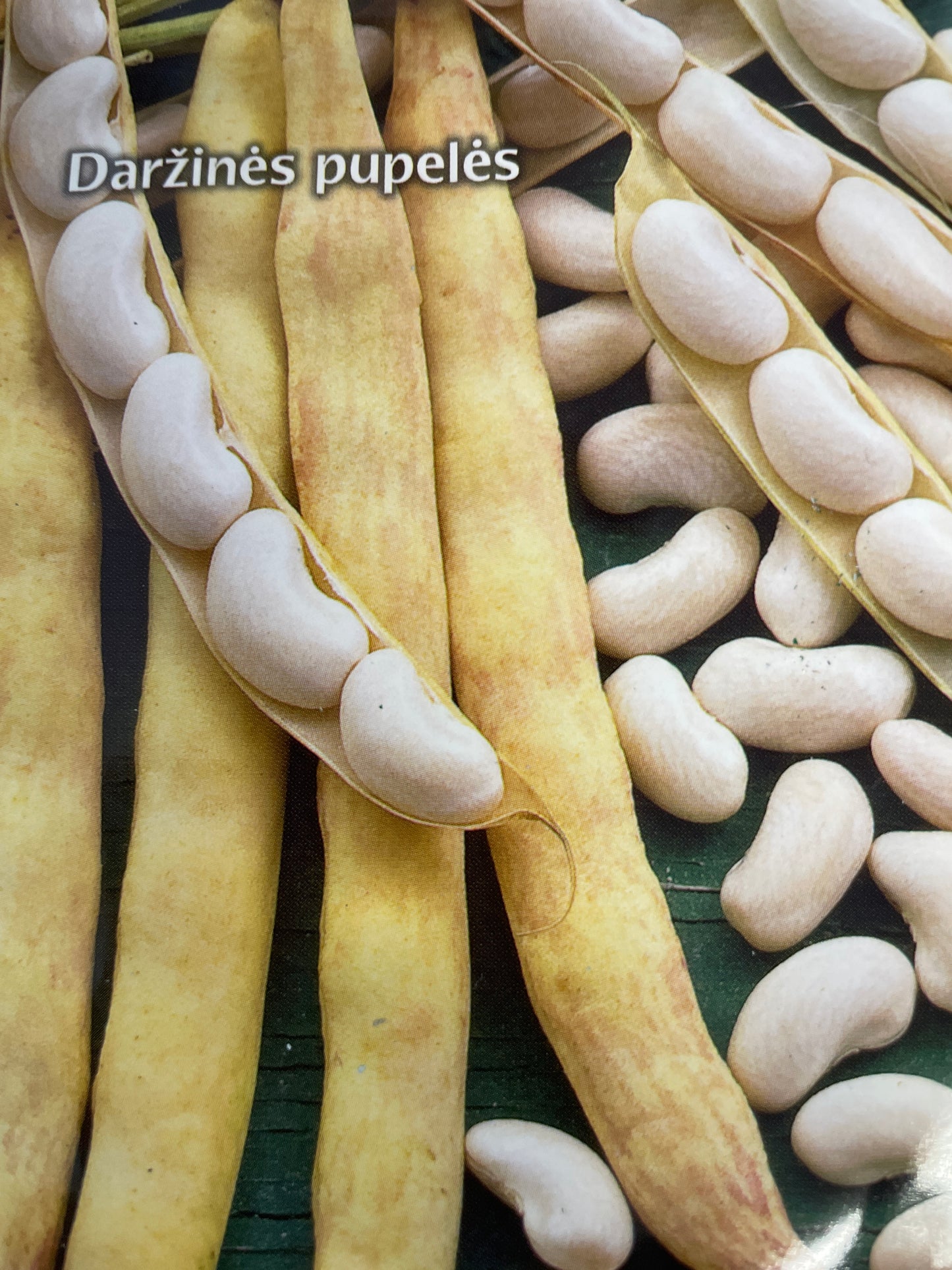 Žemaūgės daržinės pupelės IGOLOMSKA (gliaudomos) 50 g