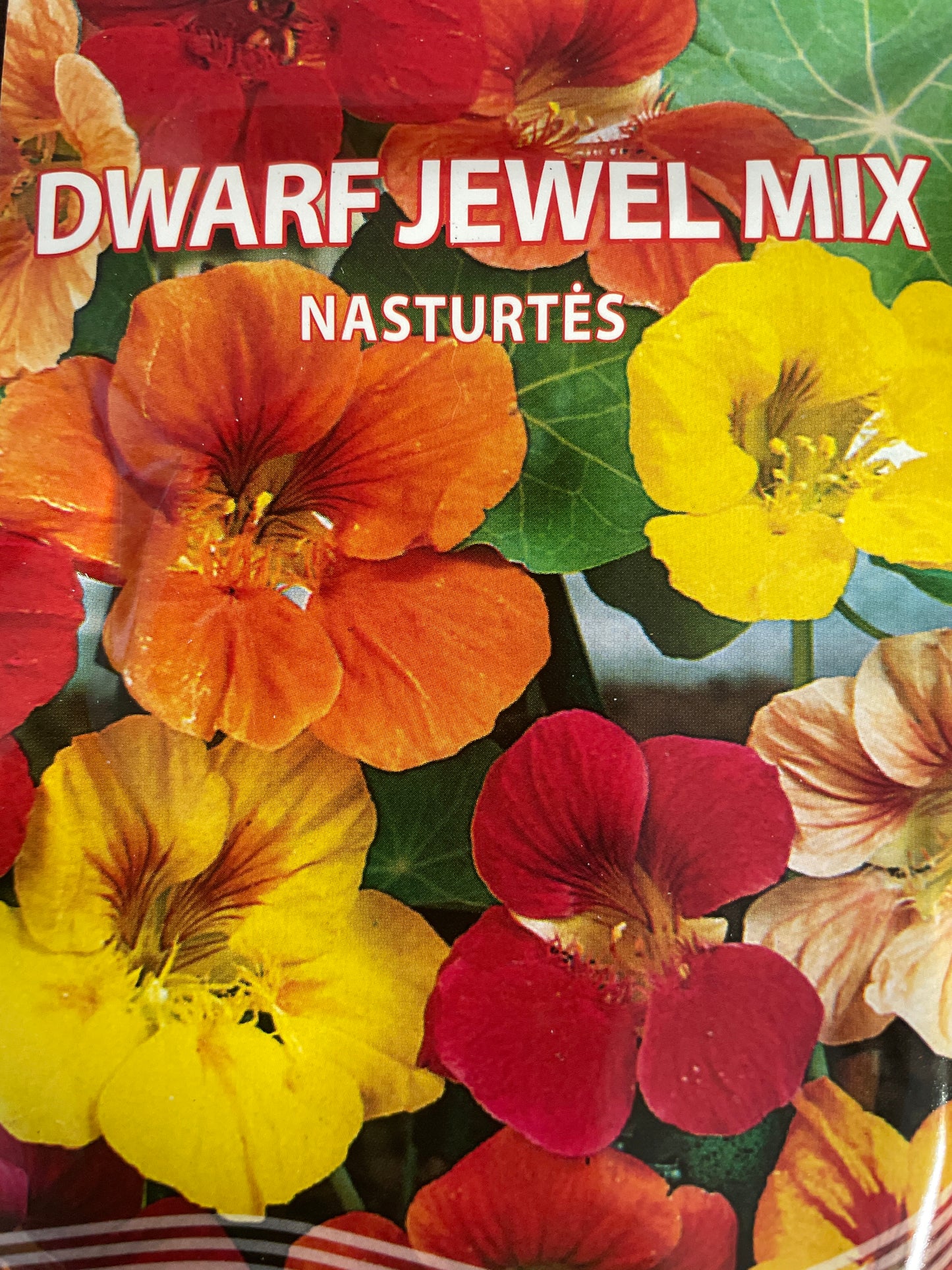 Nasturtės DWARF JEWEL MIX, 3 g
