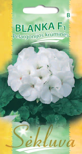 Pelargonijos krūminės BLANKA F1 5s