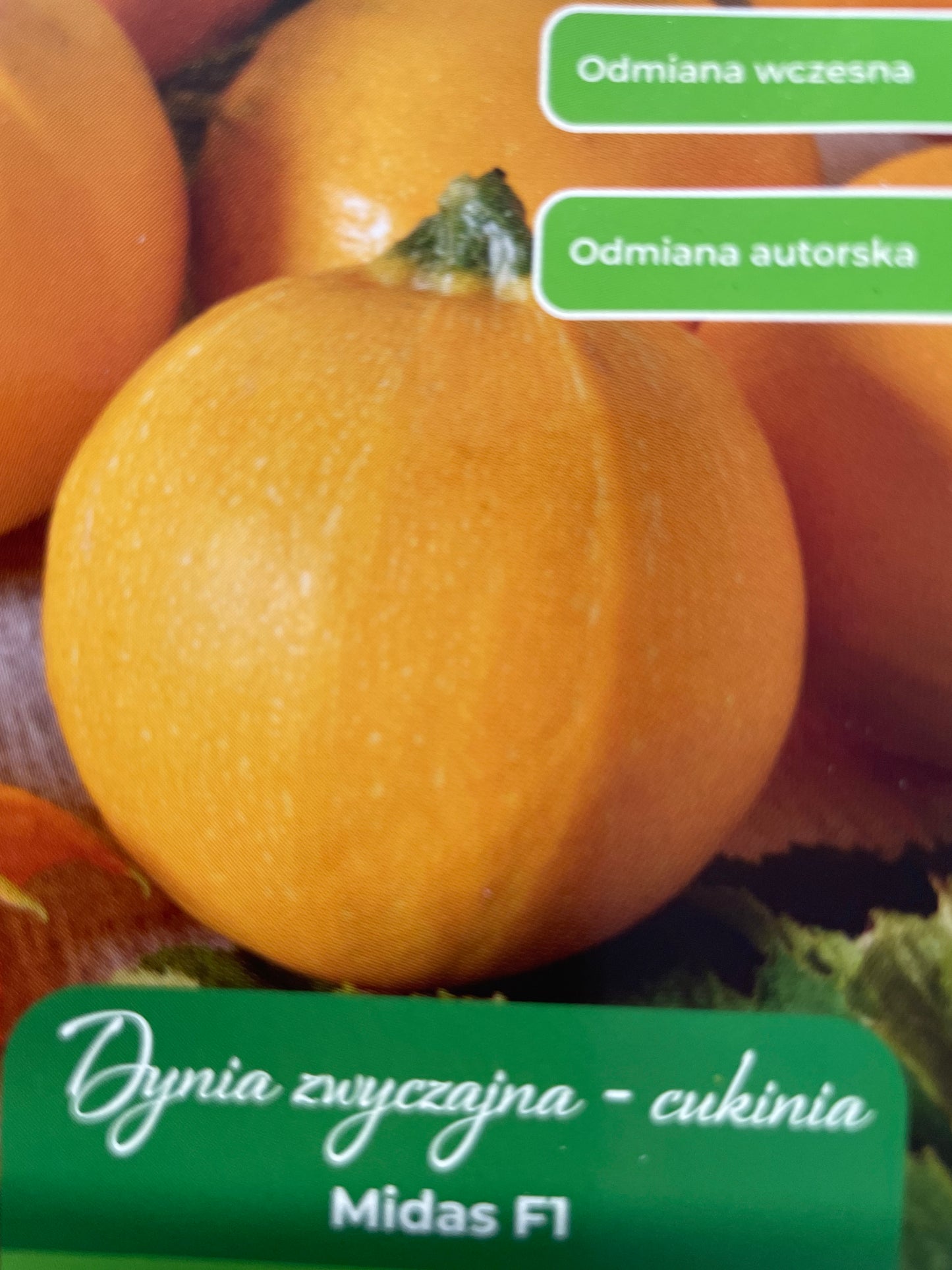 Cukinija MIDAS F1, 3 g