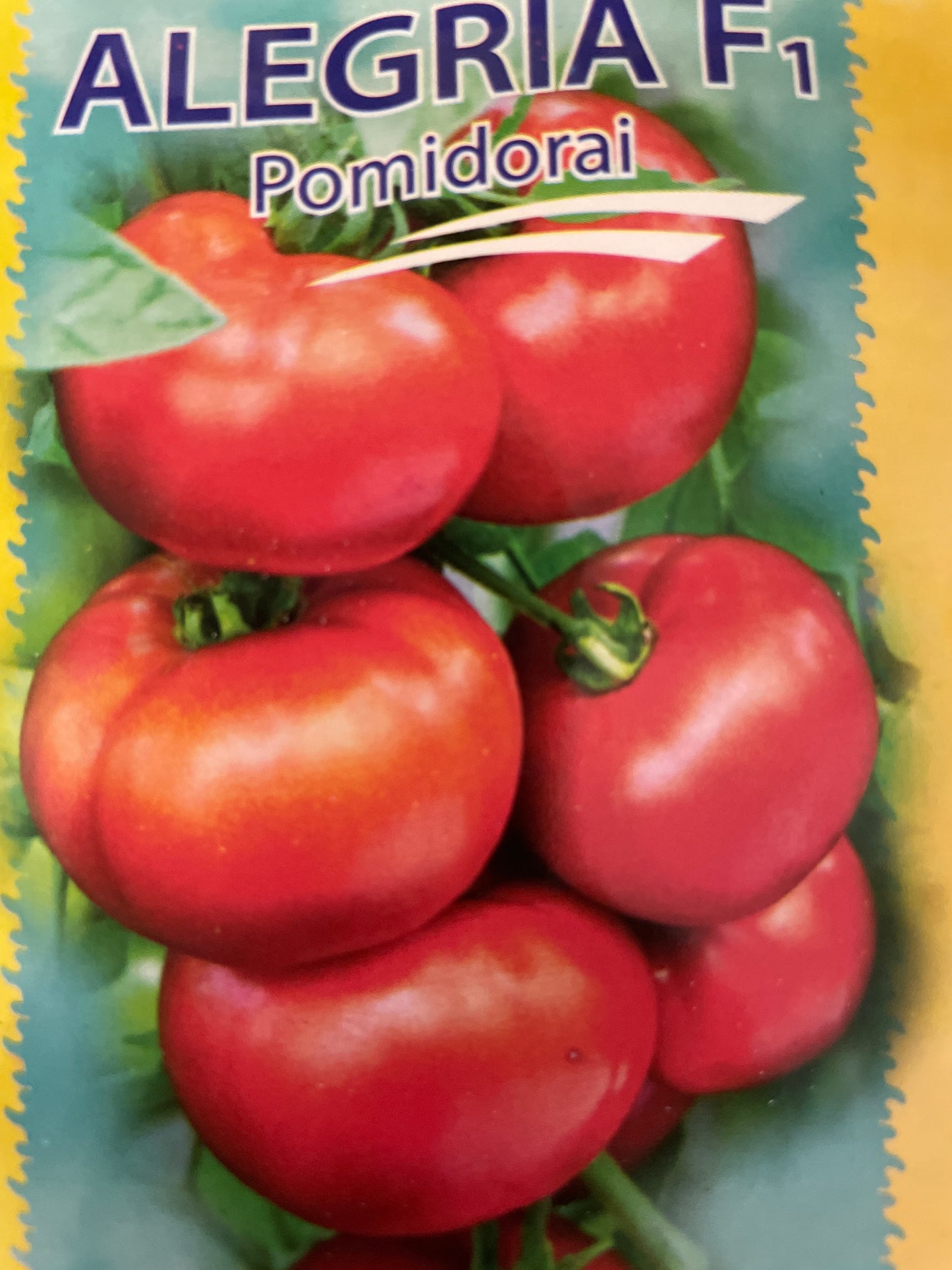 Valgomieji pomidorai ALEGRIA F1, 10s