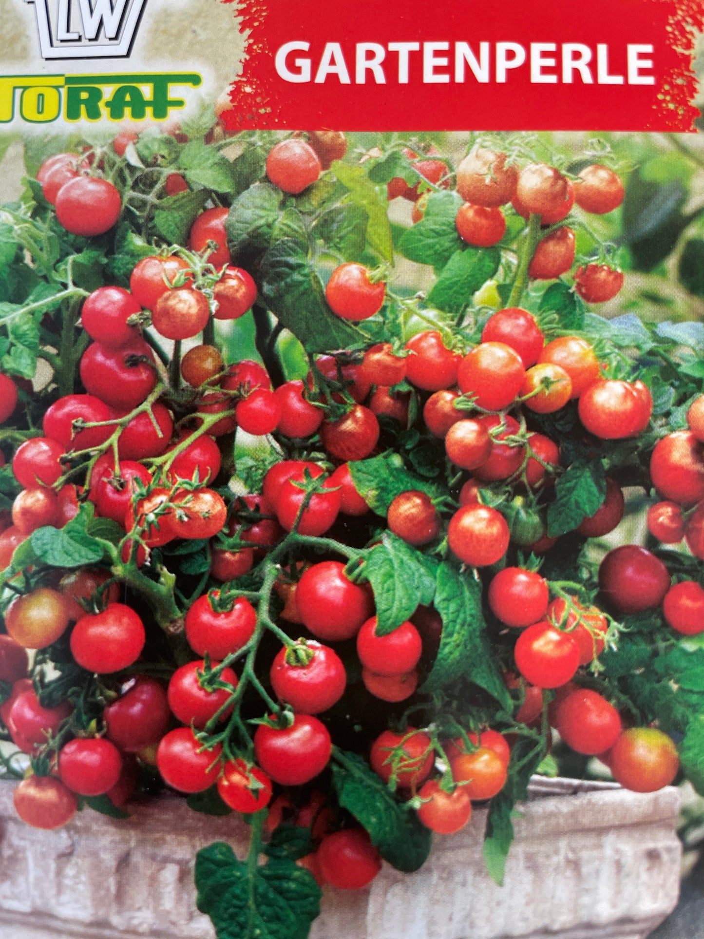 Valgomieji pomidorai GARTENPERLE, 0,3 g