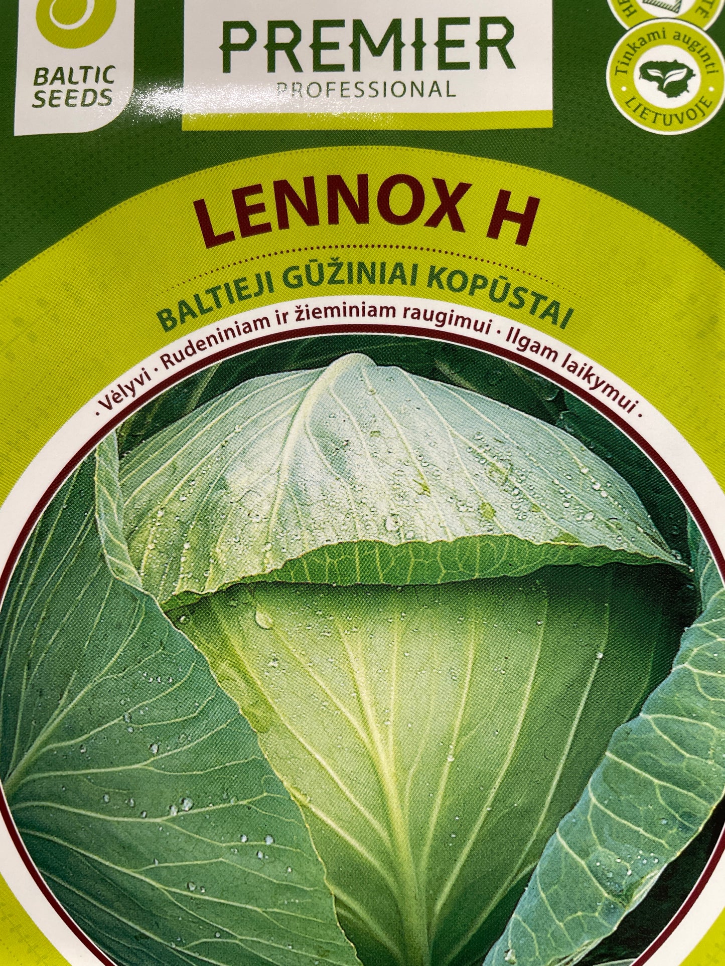 Baltieji gūžiniai kopūstai LENNOX H, 45 s