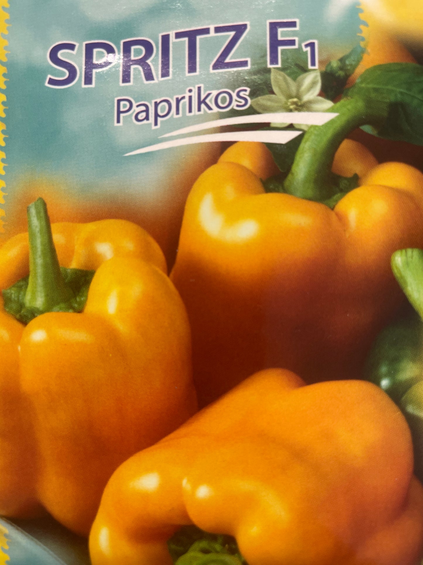 Vienametės paprikos SPRITZ F1, 10 s
