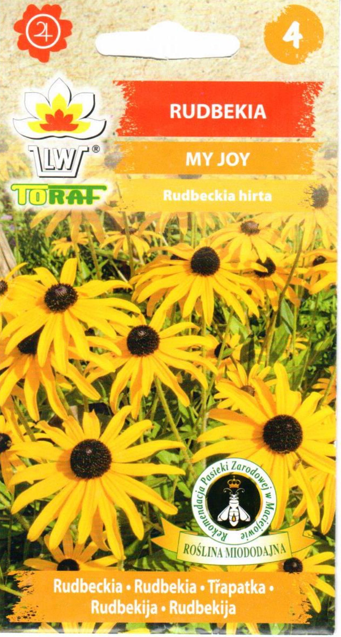 Plaukuotosios rudbekijos My Joy