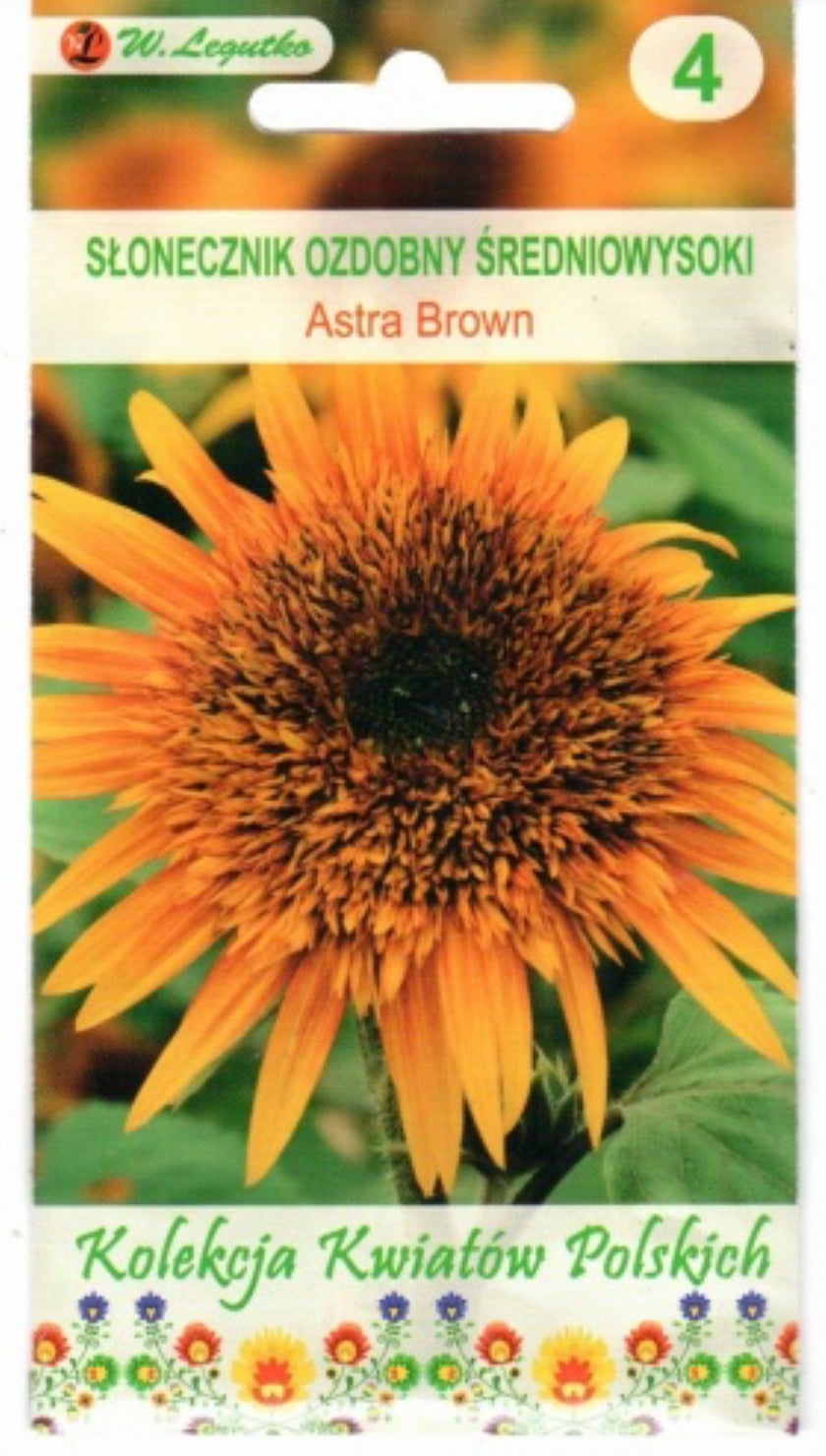 Tikrosios saulėgrąžos Astra Brown