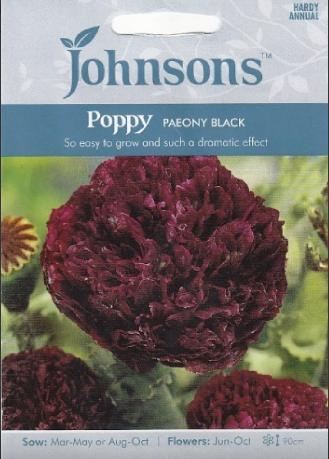 Aguonos dekoratyvinės Paeony Black