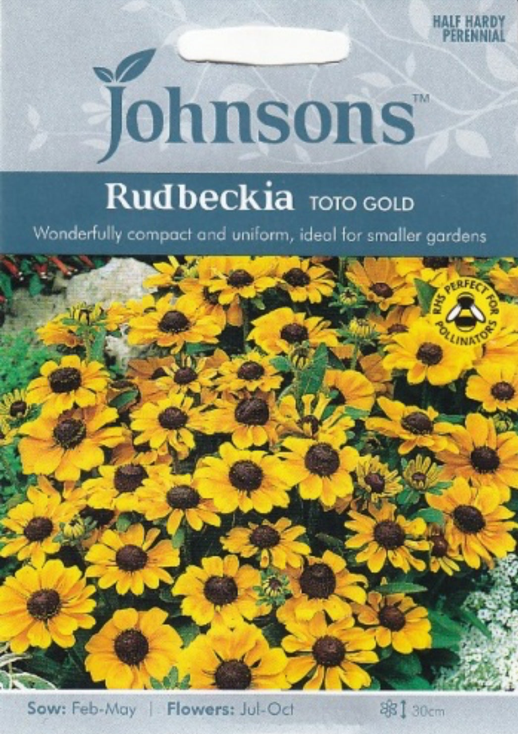 Plaukuotosios rudbekijos TOTO GOLD