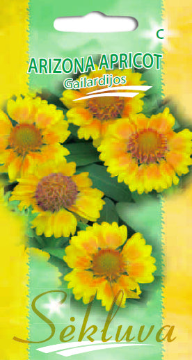 Akuotuotosios gailardijos Arizona Apricot