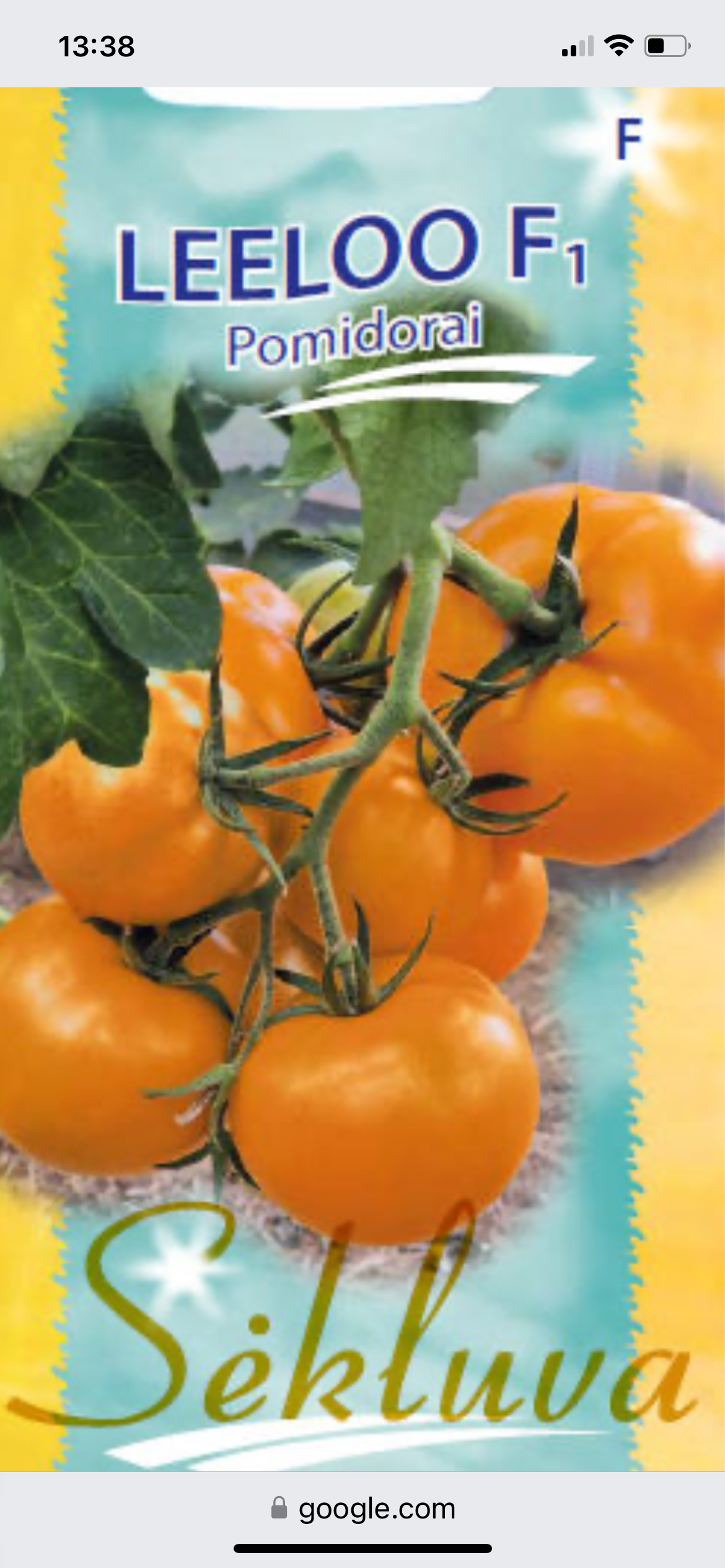 Valgomieji pomidorai LEELOO F1, 6s