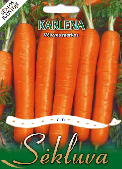 Valgomosios morkos KARLENA, juostoje