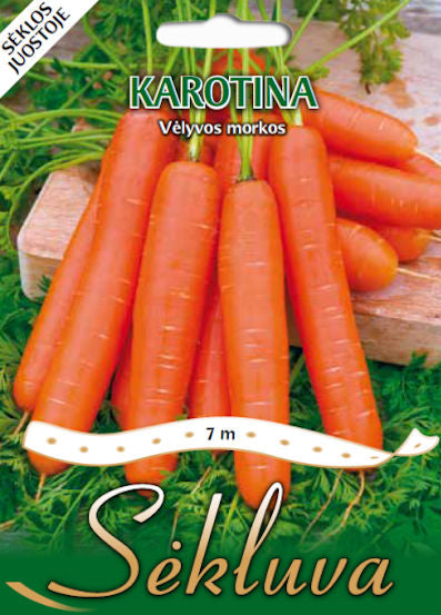 Valgomosios morkos KAROTINA, juostoje