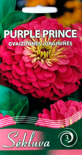 Gvaizdūnės PURPLE PRINCE 1g