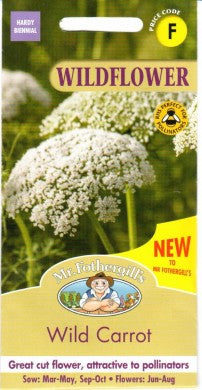 Laukinės morkos WILD CARROT 500s