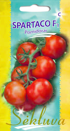 Valgomieji pomidorai Spartaco F1