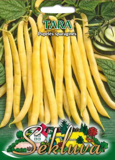 Žemaūgės daržinės pupelės Tara
