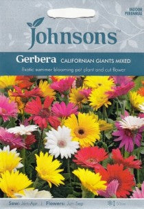 Dailiosios gerberos CALIFORNIA GIANT MIXED 25s