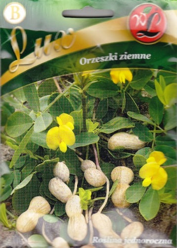 Valgomieji arachiai (žemės riešutai)