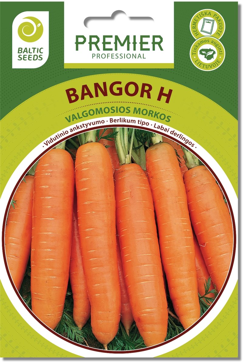 Morkos BANGOR H 600 s