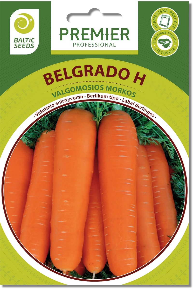 Morkos BELGRADO H 600 s