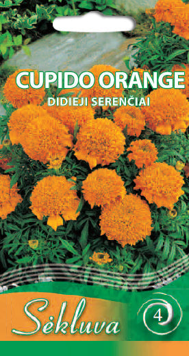 Didieji serenčiai CUPIDO ORANGE 0,3g