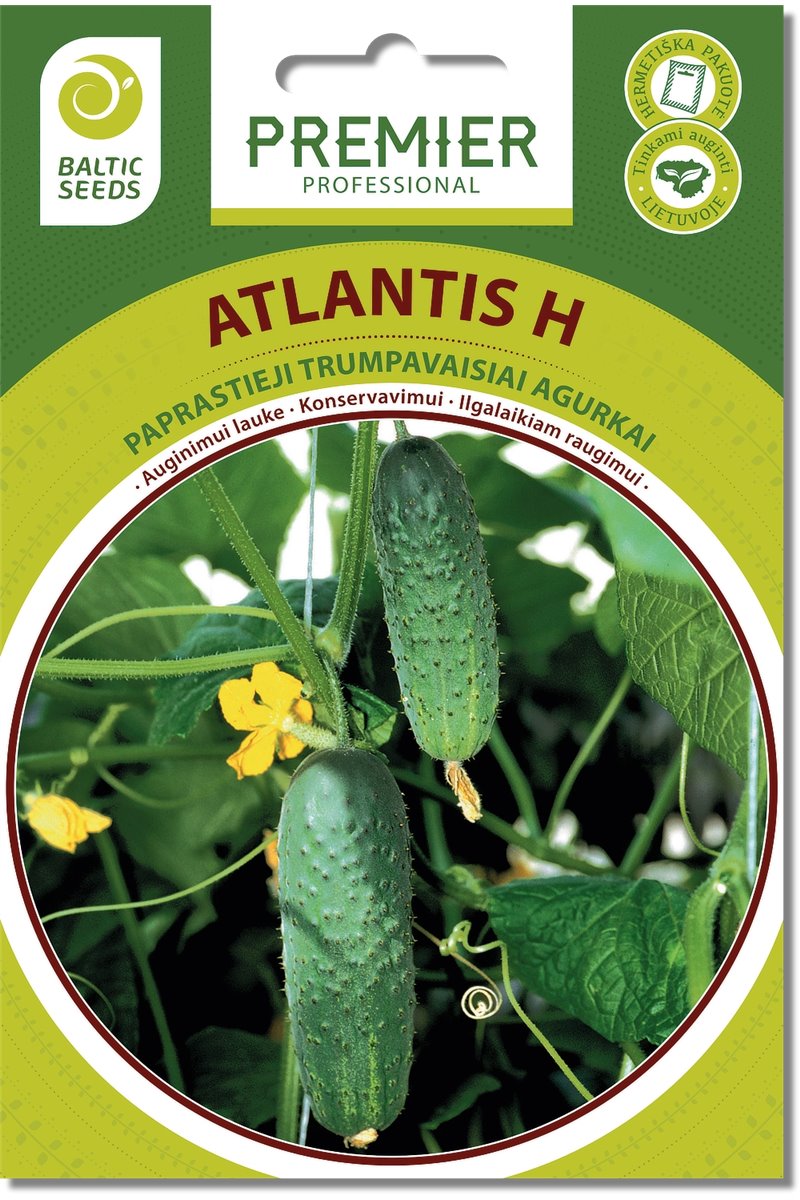 Trump agurkai Atlantis H 60 s