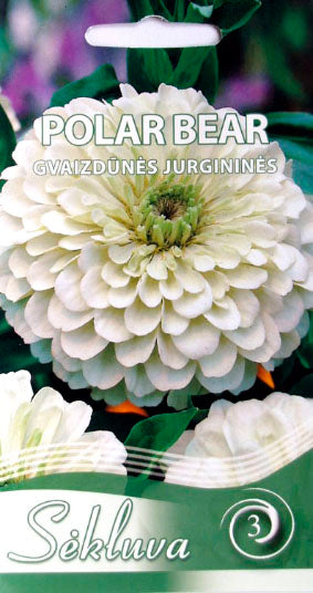 Gvaizdūnės POLAR BEAR