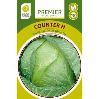 Baltieji gūžiniai kopūstai  COUNTER H 45 s