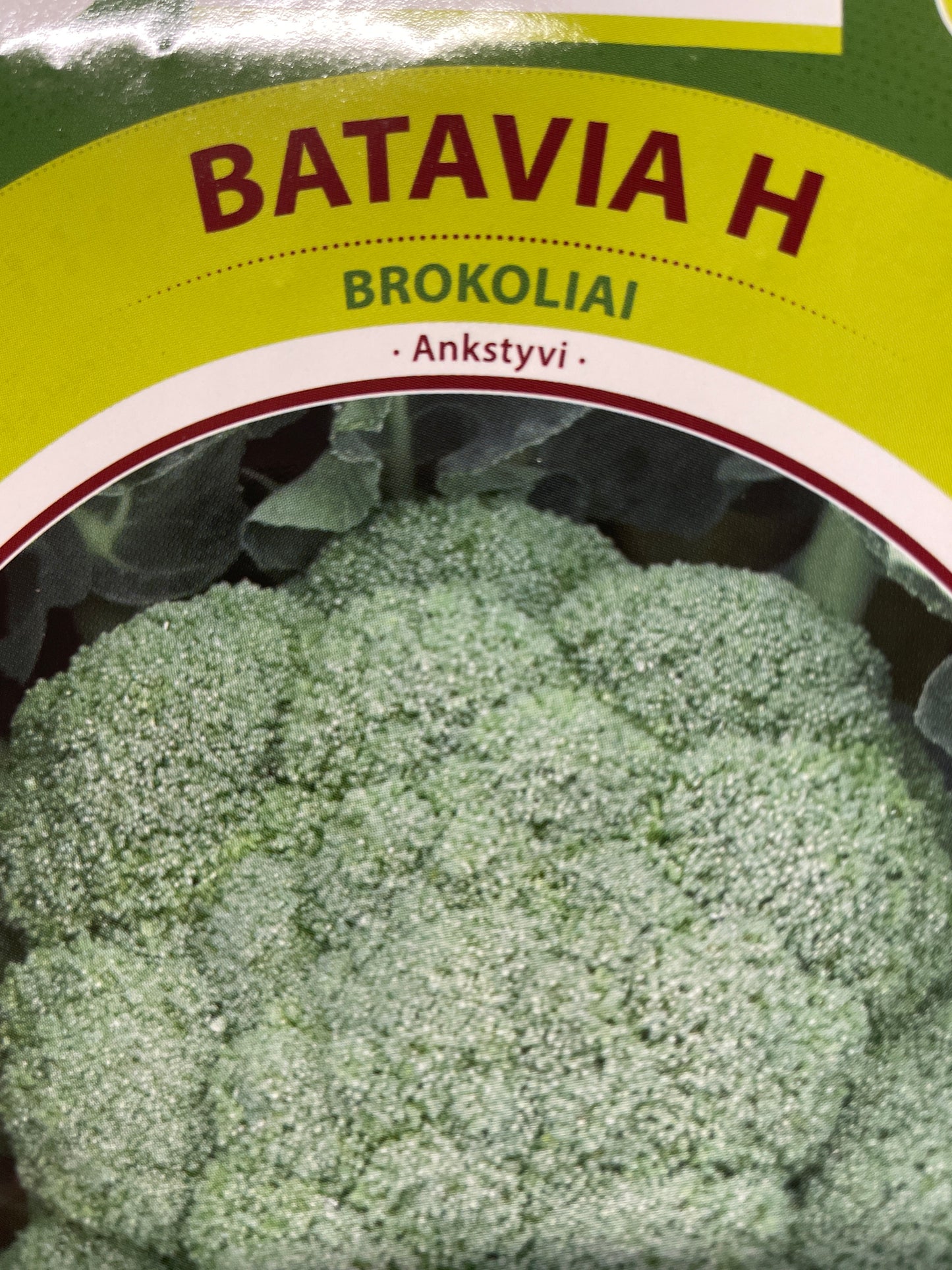 Brokoliai BATAVIA H, 30 s