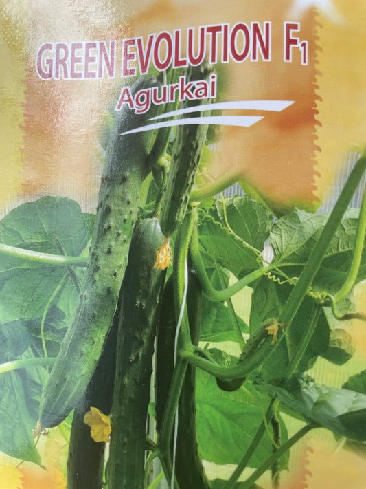 Ilgavaisiai agurkai GREEN EVOLUTION F1, 10s