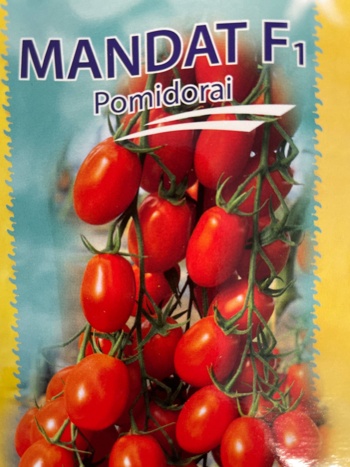 Valgomieji pomidorai MANDAT F1, 8 s
