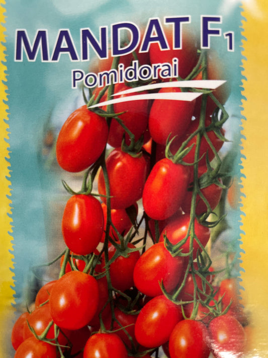Valgomieji pomidorai MANDAT F1, 8 s