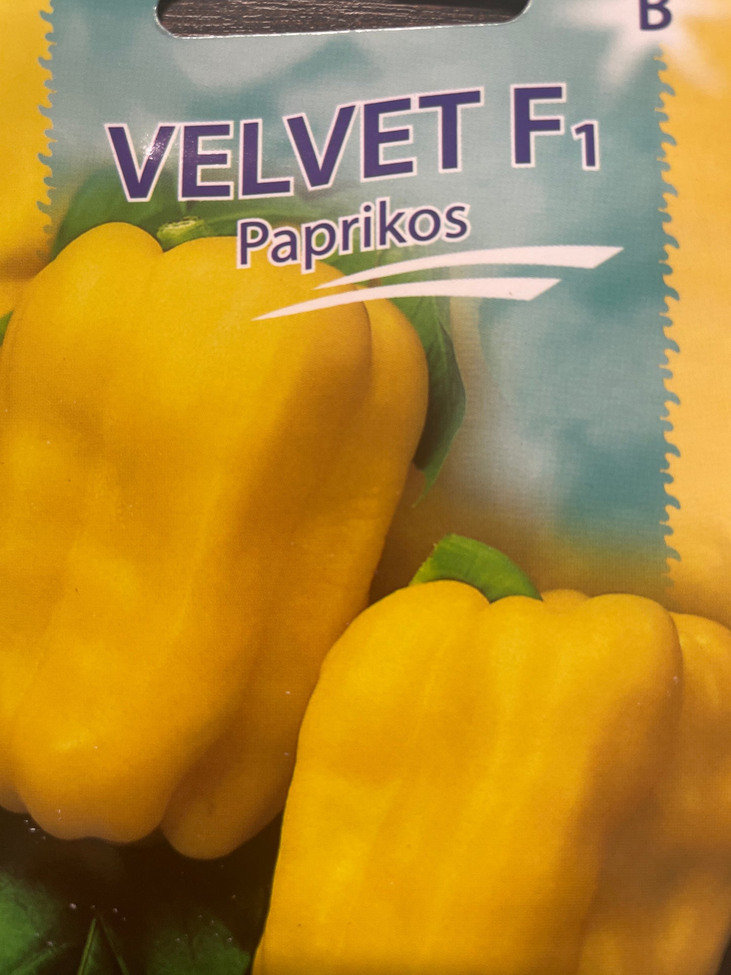 Vienametės paprikos VELVET F1, 10 s