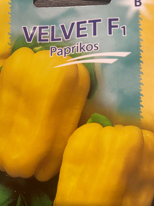 Vienametės paprikos VELVET F1, 10 s