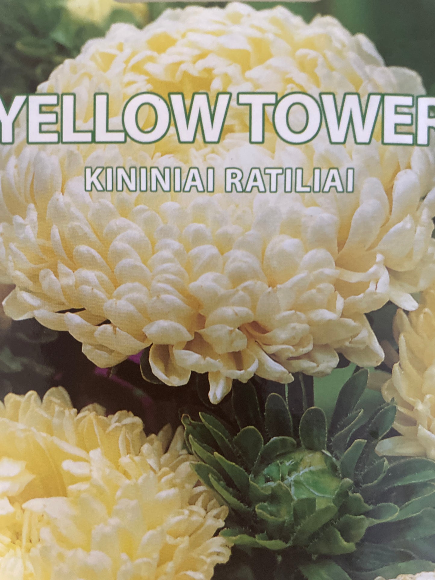 Kininiai ratiliai YELLOW TOWER, 0,5 g