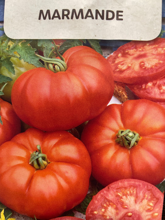 Valgomieji pomidorai MARMANDE, 0,5g