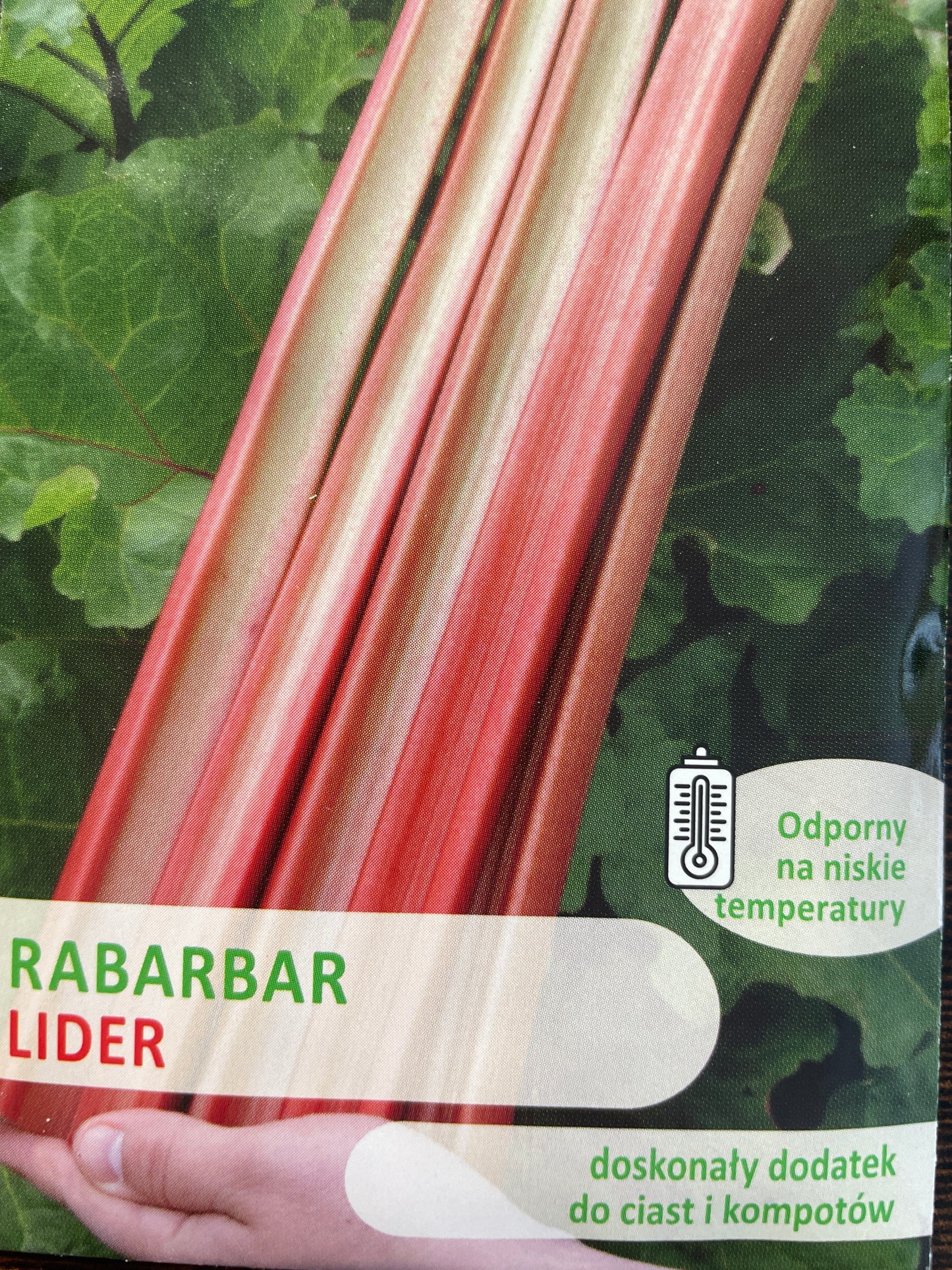 Daržiniai rabarbarai LIDER, 1 g