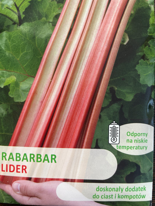 Daržiniai rabarbarai LIDER, 1 g