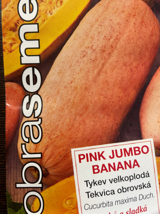 Didieji moliūgai PINK JUMBO BANANA, 7 s