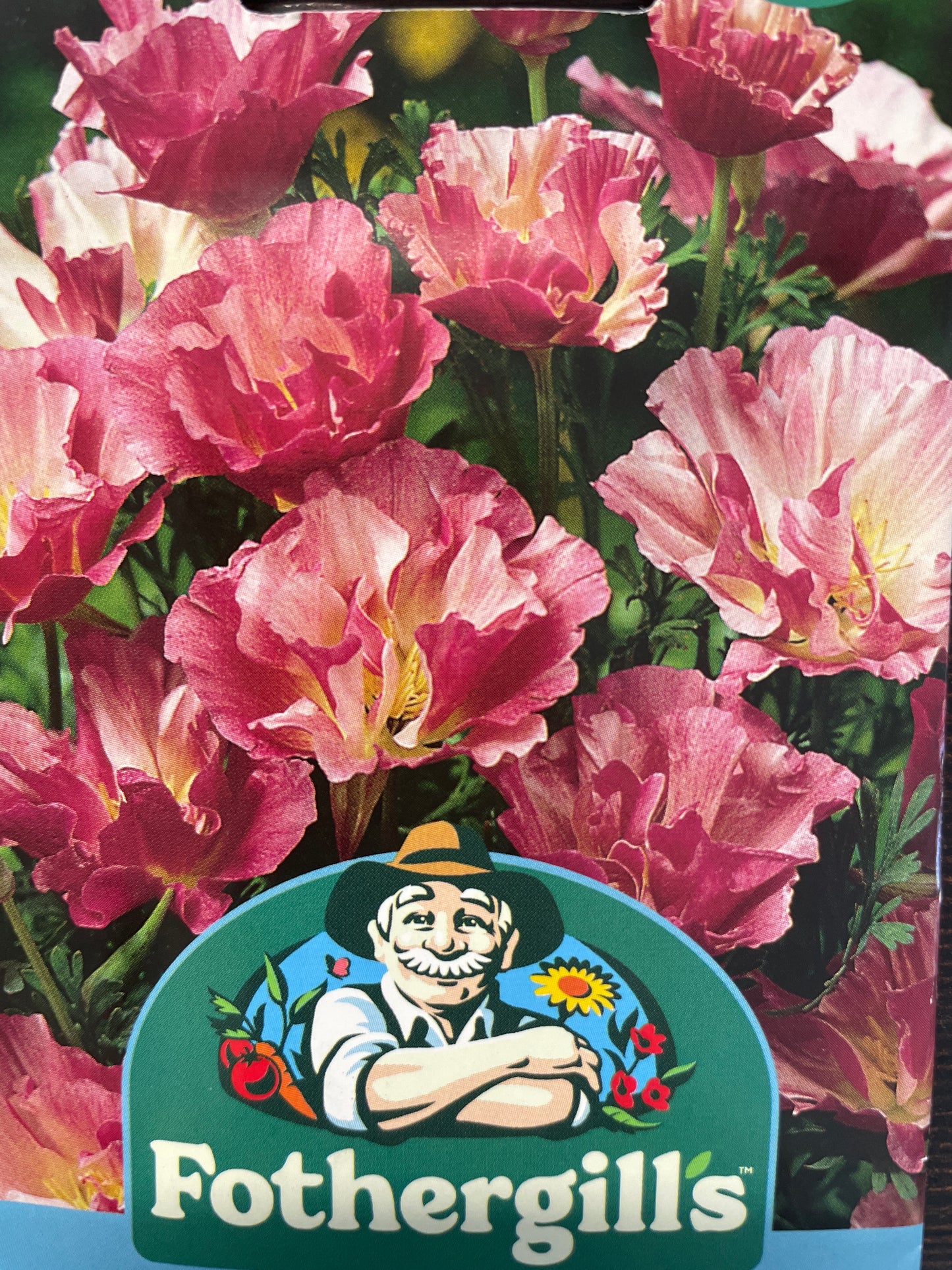Geltonžiedės ešolcijos APPLEBLOSSOM PINK, 200 s