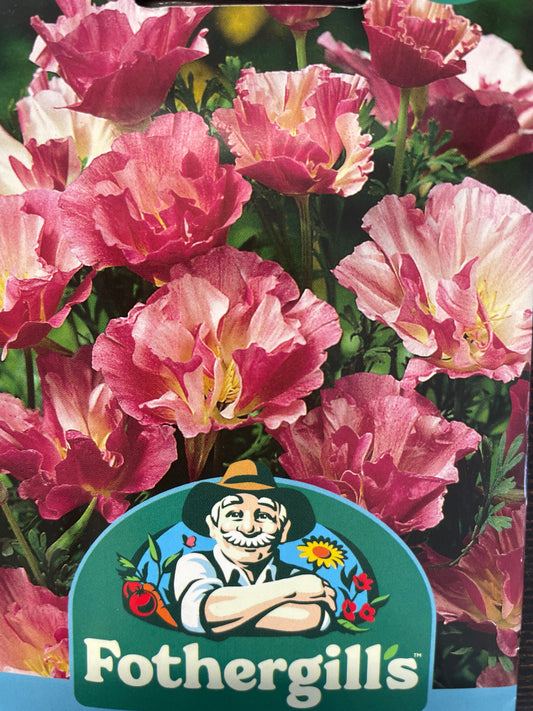 Geltonžiedės ešolcijos APPLEBLOSSOM PINK, 200 s
